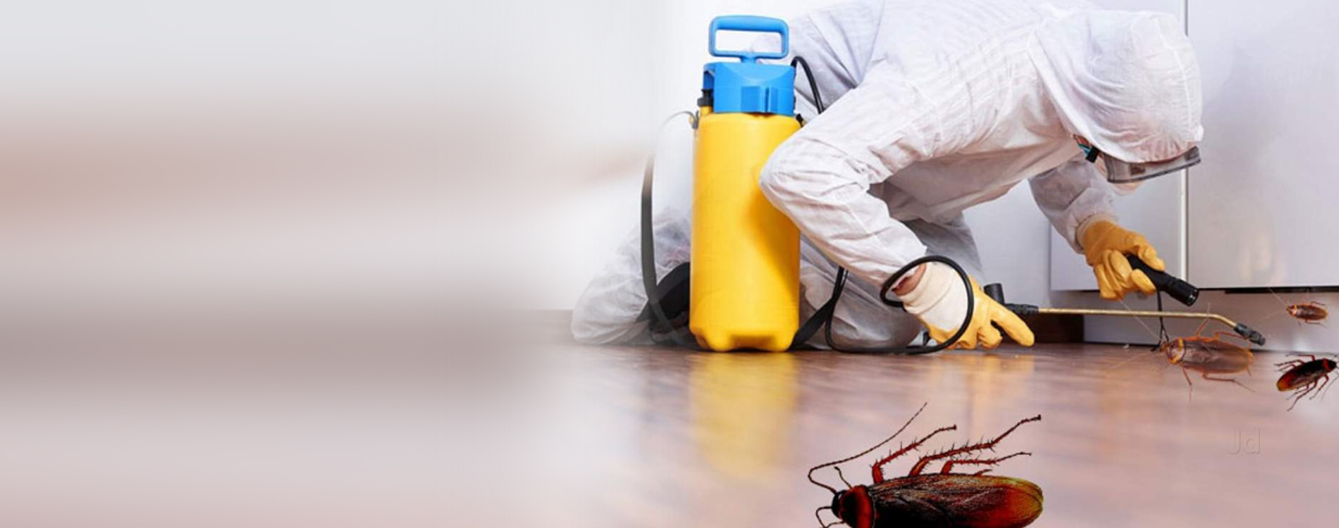 fumigation-and-pest-control